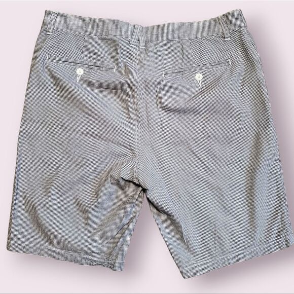 Toad & Co Men's Size 34 Blue And White Checkered Shorts Chinos EUC - Picture 2 of 4